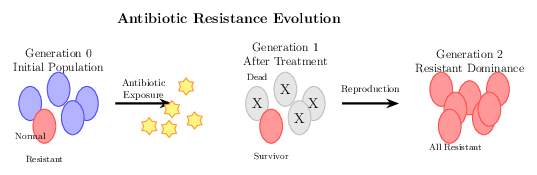 Antimicrobial Resistance Dynamics image