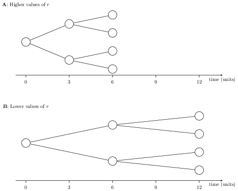 The Role of Speed in Disease Control and Detetection image