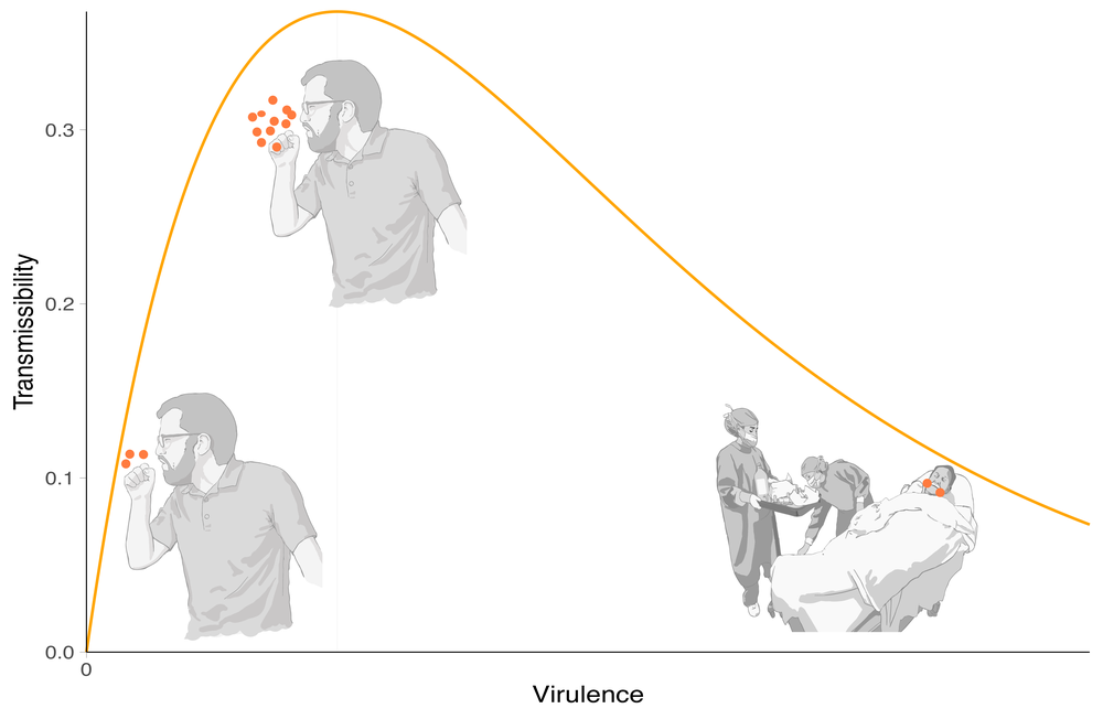 Outbreak Response and Rapid Modeling image